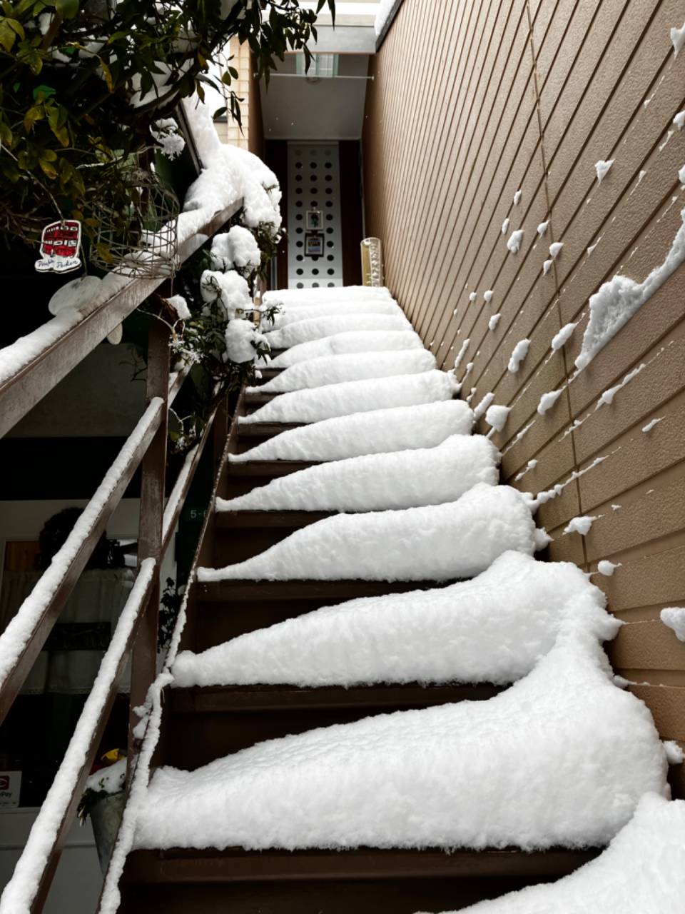 臨時休業【Bohe Me shop】